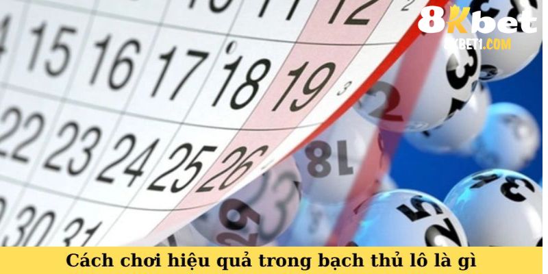 Cách chơi hiệu quả trong bạch thủ lô là gì